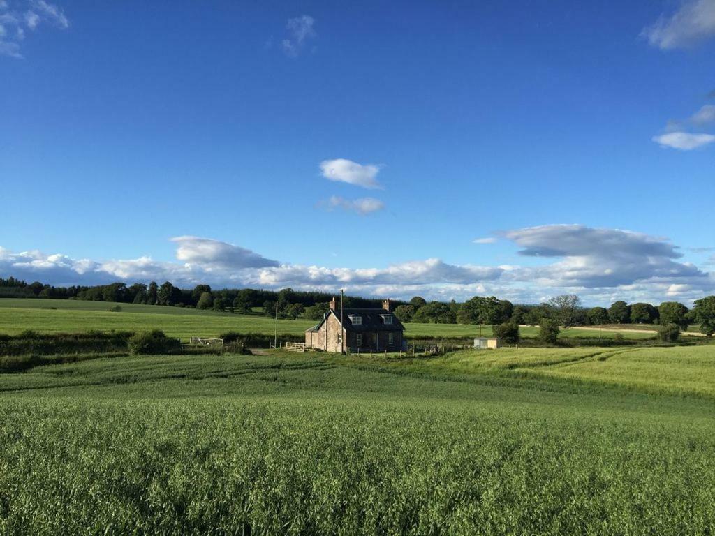 Blackhill Farm Cottage Пърт Екстериор снимка